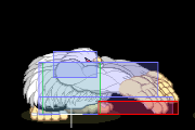 Sasquatch c hp 1.png