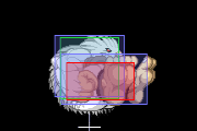 Sasquatch j9 hk 1.png