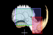 Sasquatch j9 hp.png