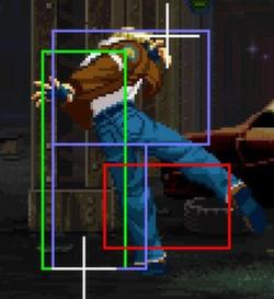 Garou Terry cl.B.jpg
