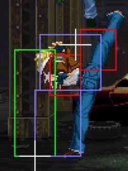 Garou Terry cl.D.jpg