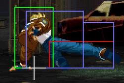 Garou Terry cr.D.jpg