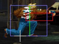 Garou Terry cr.C.jpg