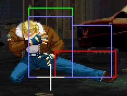 Garou Terry cr.B.jpg