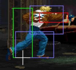 Garou Terry s.C.jpg