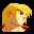 Portrait SFA2 Ken.png