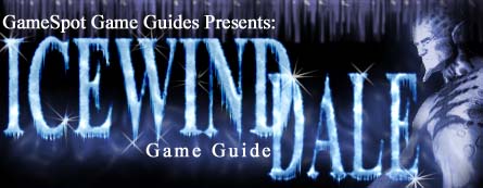 Icewind Dale Game Guide